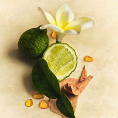 Scent Layering Trio - Simple Gathering Muse Assortment