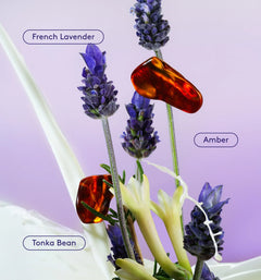 Skin Replenishing Body Wash - Airy Artisan Latte Assortment